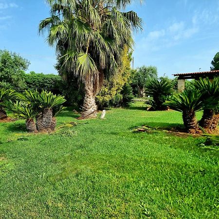 B&B Rosa Podere 28 Palagianello Exterior foto